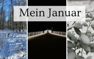 Mein Januar Rückblick – GerneLerner voraus!