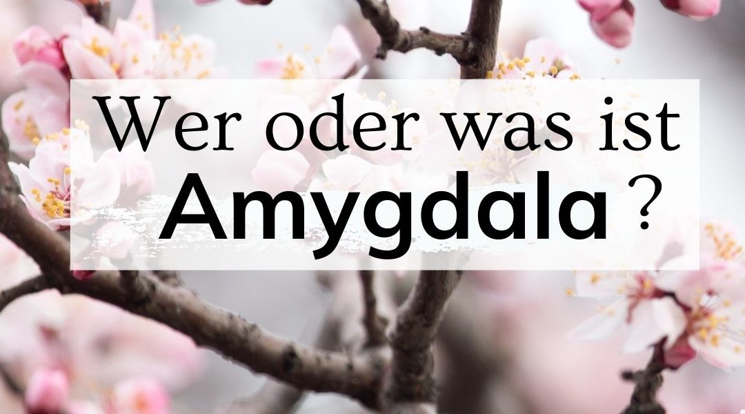 Wer oder was ist Amygdala?